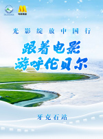 cgwang官网